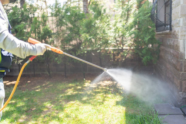 Best Best Pest Control Near Me  in Dickson, OK