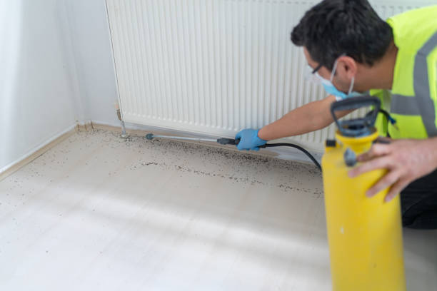 Best Pest Inspection Near Me  in Dickson, OK